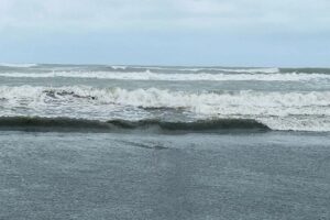 ঘূর্ণিঝড় ‘ডিটওয়াহ’ : চট্টগ্রাম, কক্সবাজার, মোংলা ও পায়রায় ২ নম্বর সংকেত