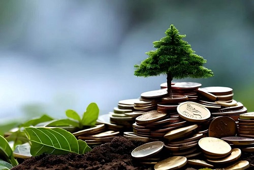 নসম্পদ ব্যবহারে ইসলামের নির্দেশনা ও করণীয়