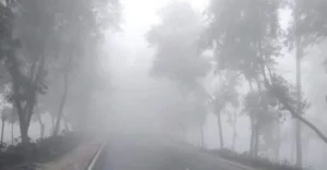 article-17652096446936f62cbc288