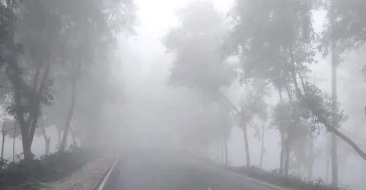 article-17652096446936f62cbc288