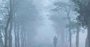 1770363711-4d1943a81c9bf711694f2ba5454c20cc