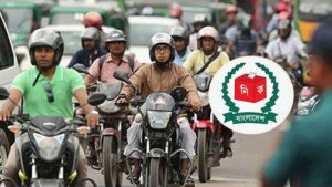 LITONopy_2-2602100728