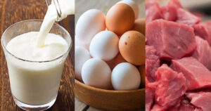 Untitled-1-20260203071849