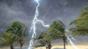 thander_20231004_122431611