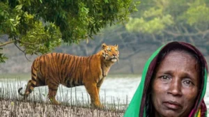 ffa2b548d90fd060d4c2f0a89862e1ca-69b6617935173