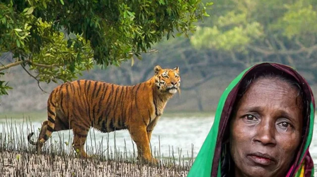 ffa2b548d90fd060d4c2f0a89862e1ca-69b6617935173