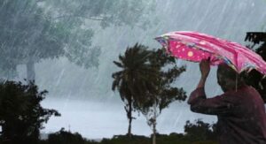Rain32423_1777465577