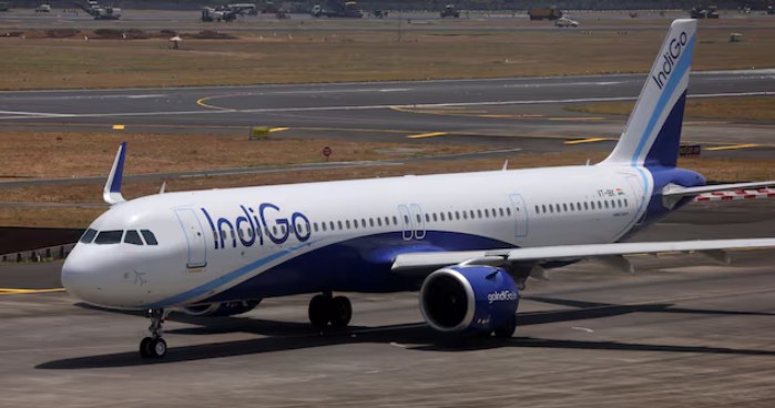 indigo-