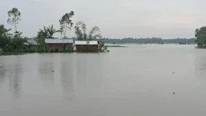 moulovibazar01-20260428202728