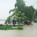 flood-1777453337